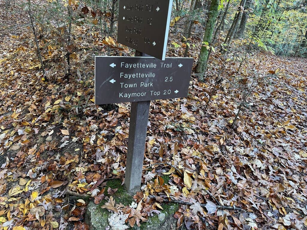Timber Island Coastal Walk