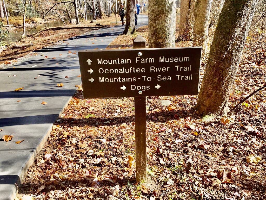 Cherokee History & Culture