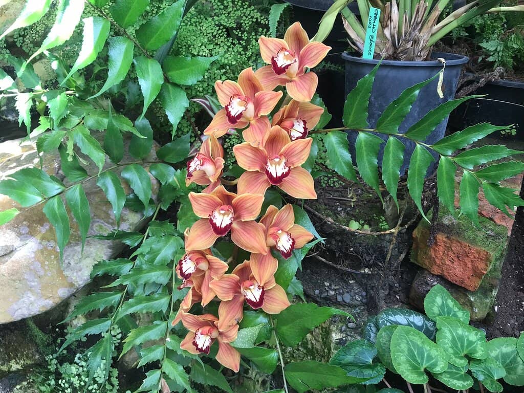 Themed Garden Exploration