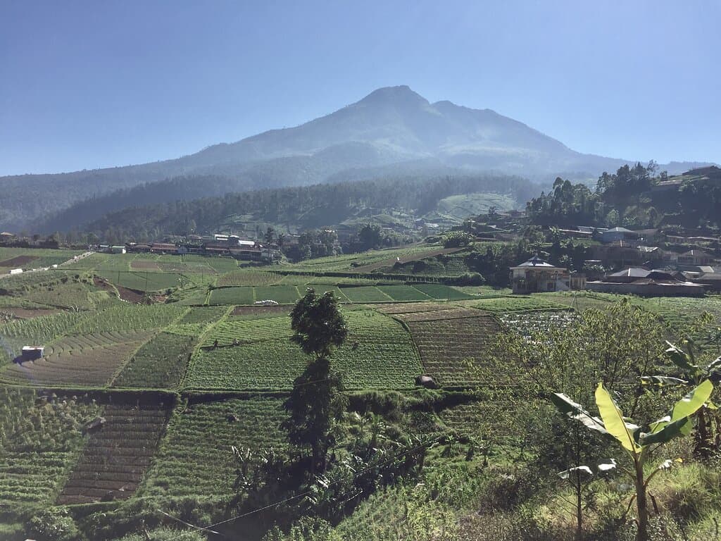 Mount Lawu is one of the highest mountains on the border between Central Java and East Java.