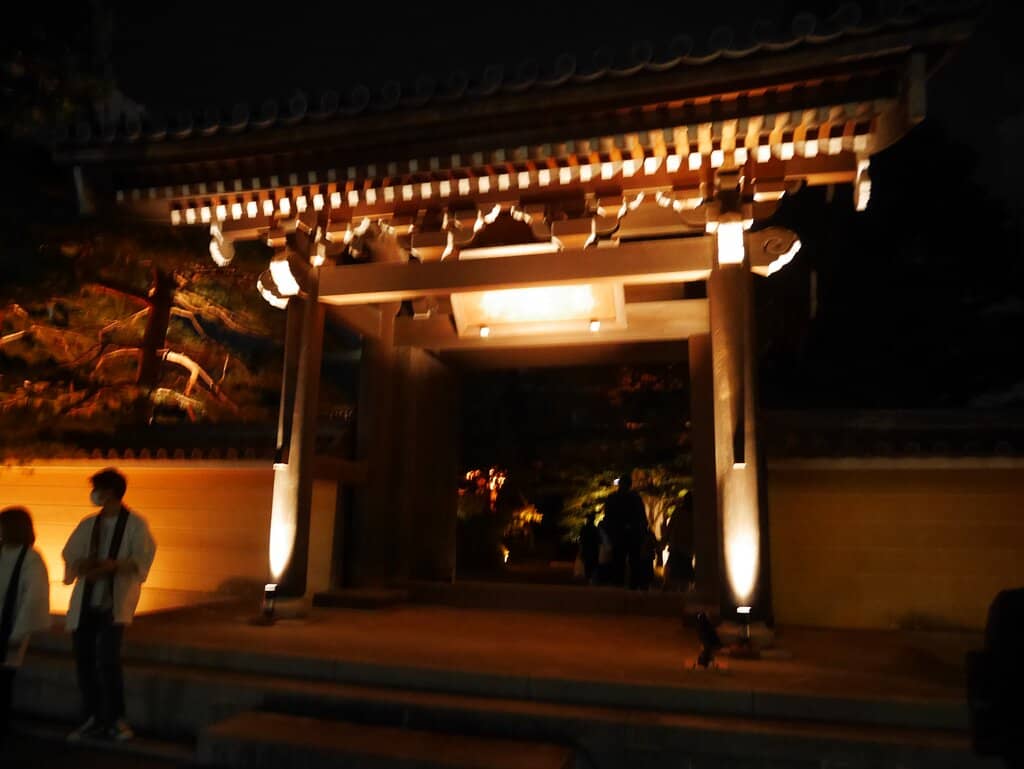 Peaceful Surroundings