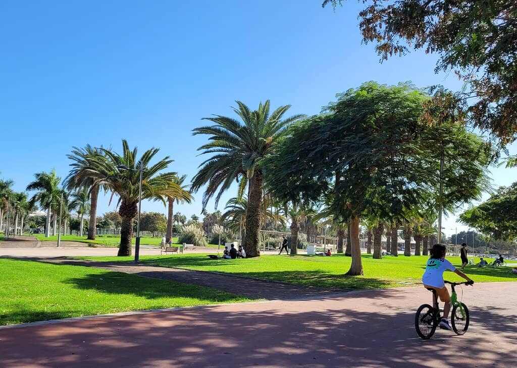 Christmas Light Spectacle