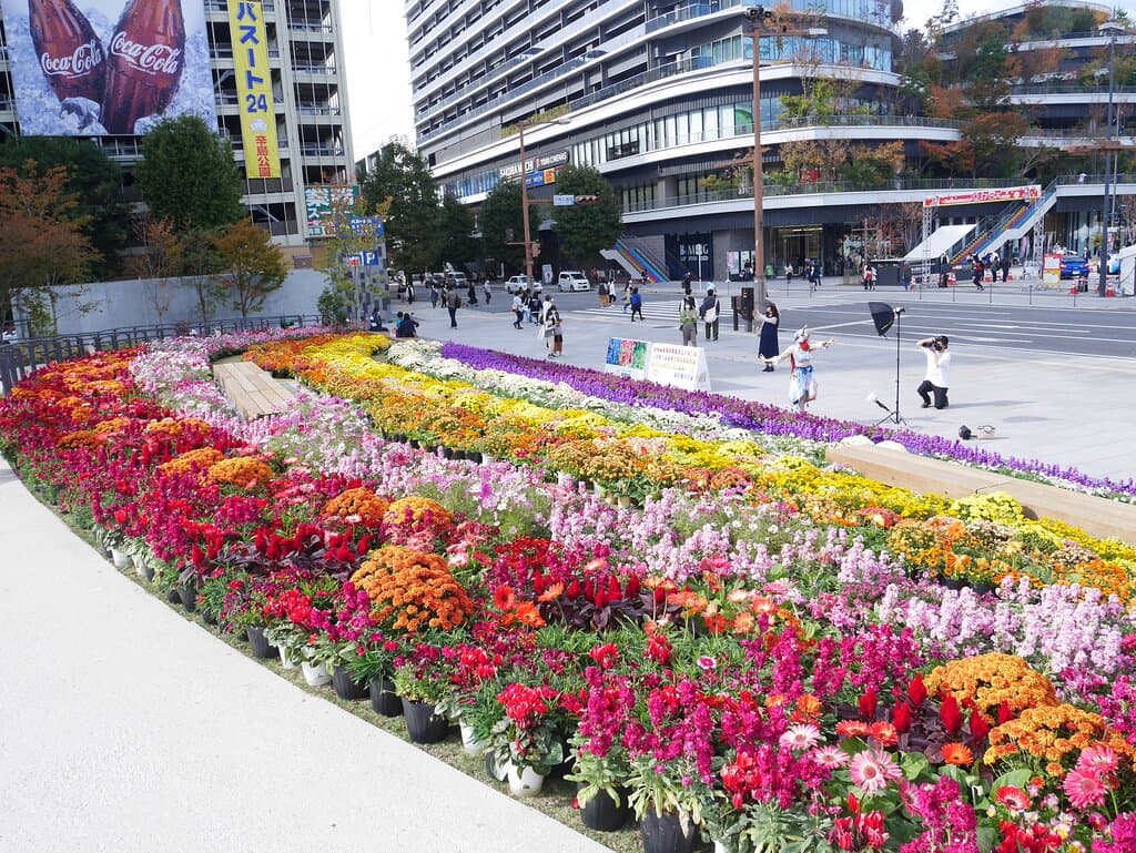 辛島公園からサクラマチバスターミナルを望んで