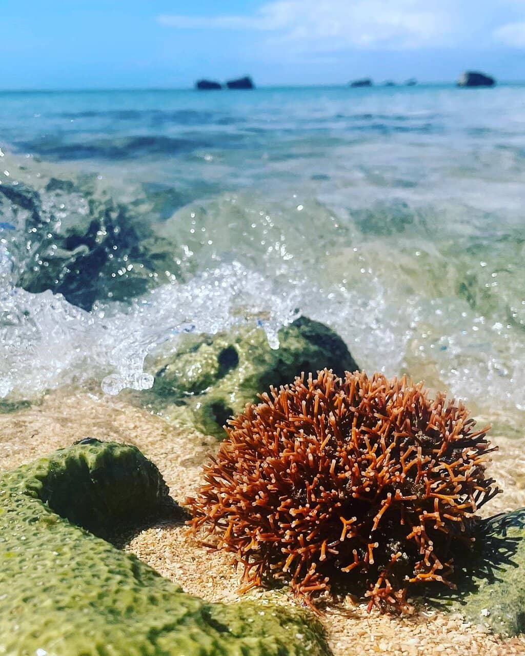 Vibrant Snorkeling Spots