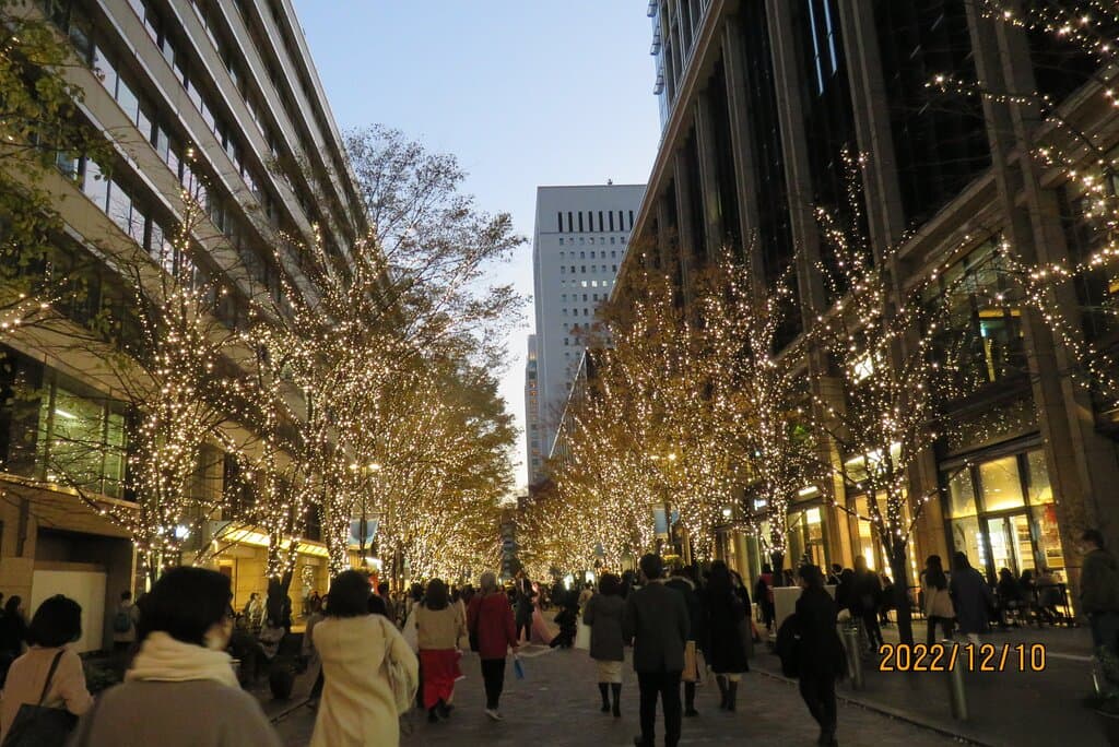 景観一例 2022年12月10日撮影