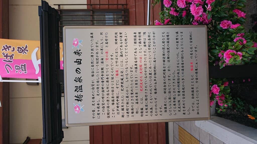 Luxurious Kaiseki Dinner