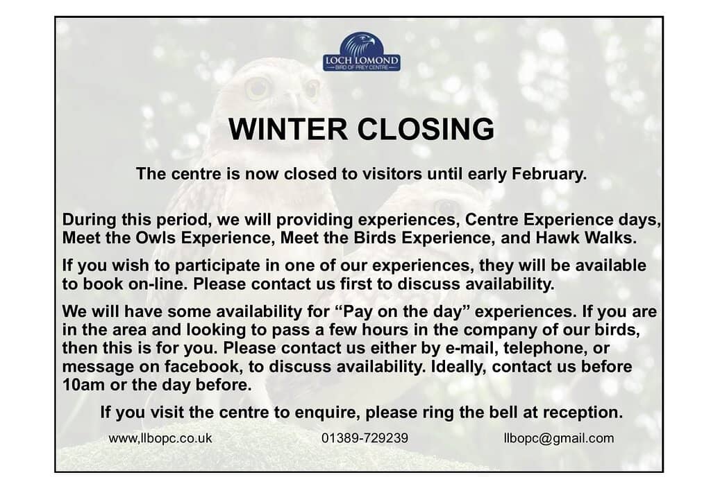 Majestic Bird Flight Demonstrations