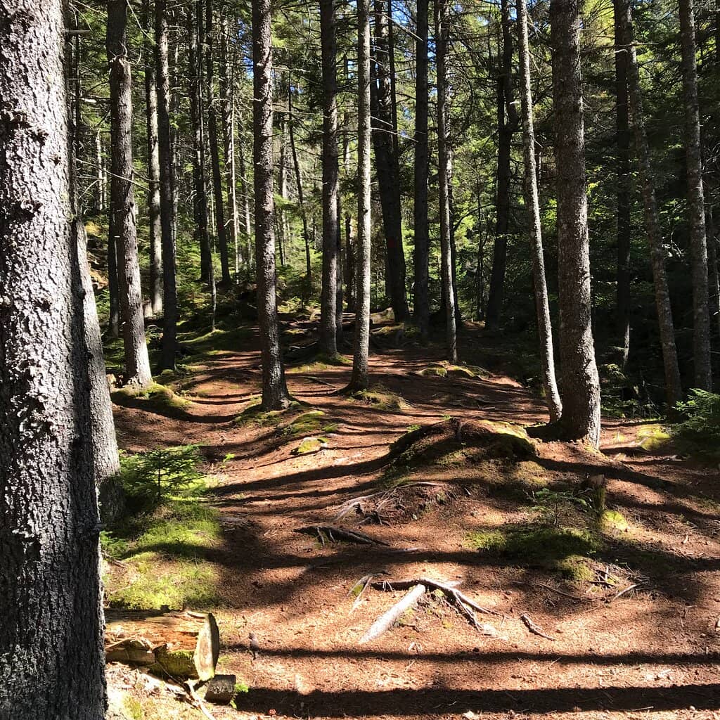 Vertical photo