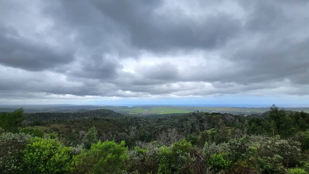 Forest and Valley Vistas