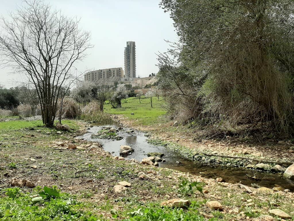 Tranquil Ponds and Trails