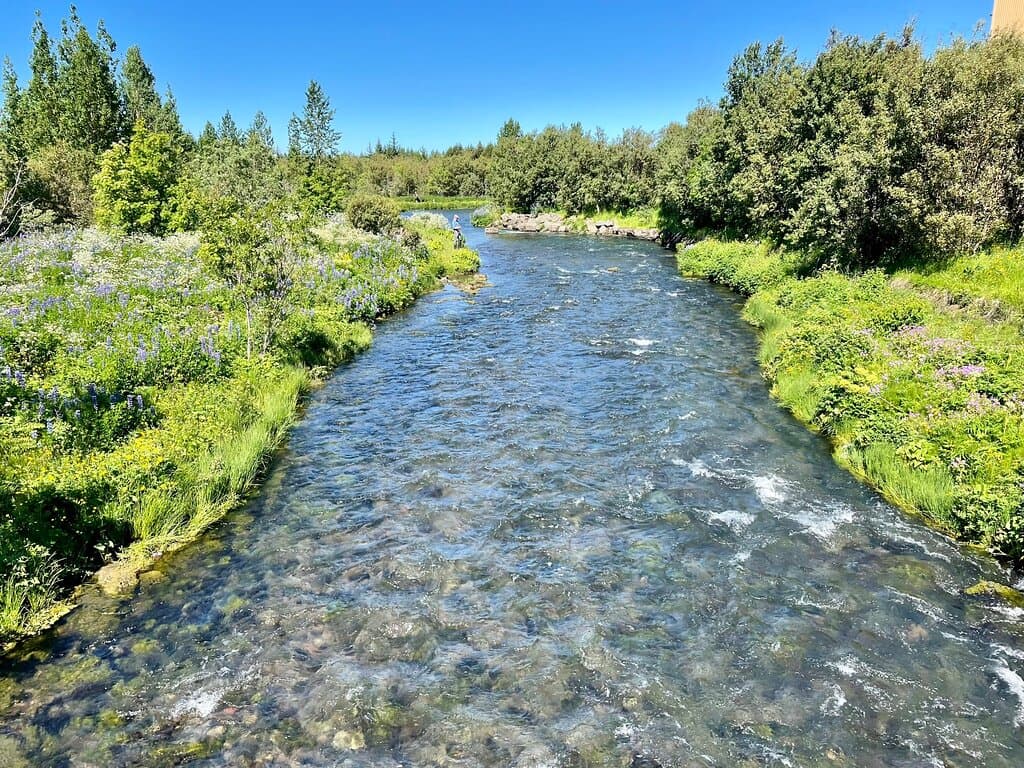 Elliðaárdalur Valley