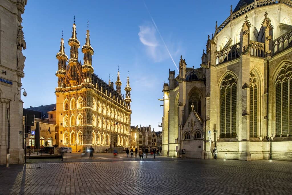 Lace-like Architecture