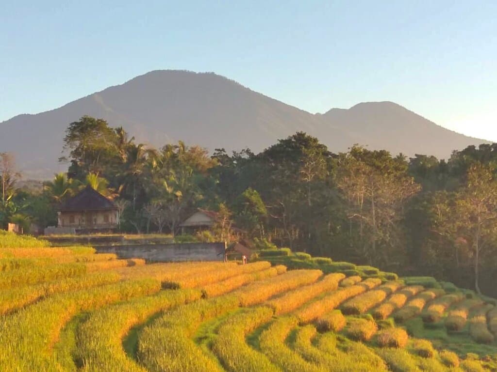Mount Batukaru