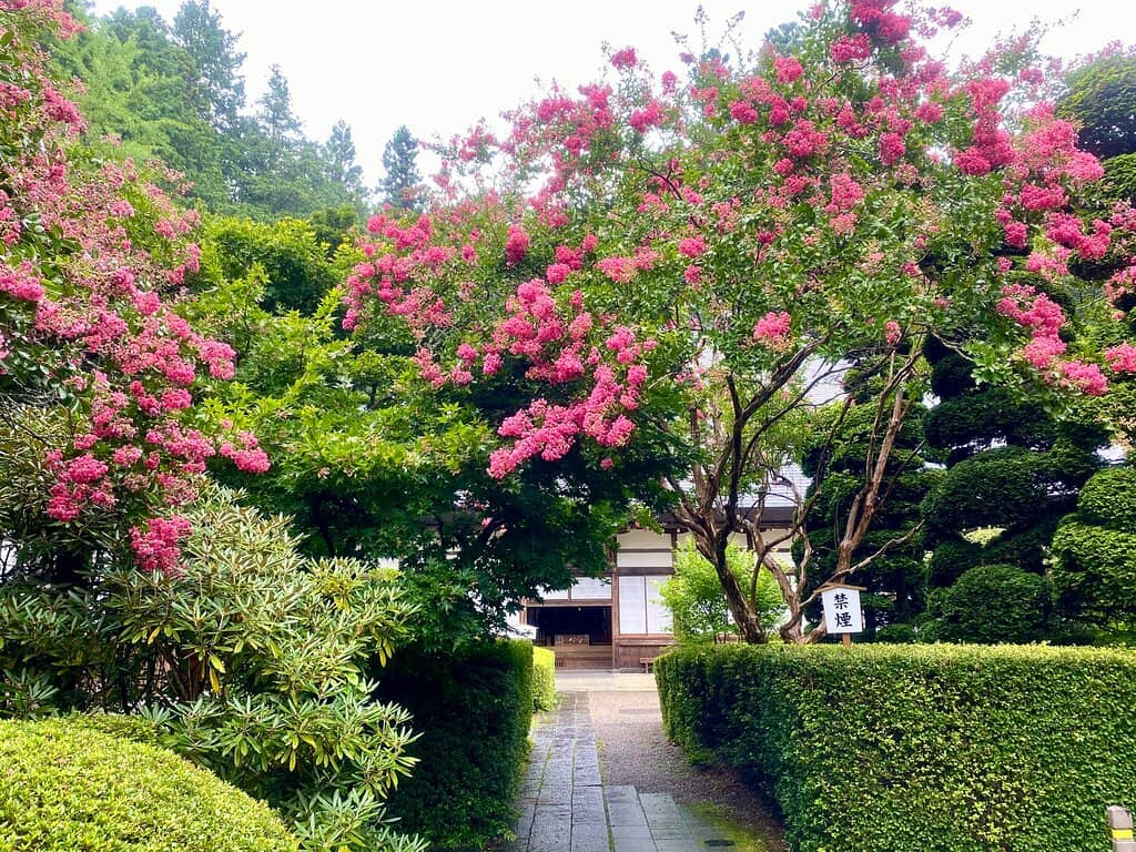 Temple Grounds & Bell Tower