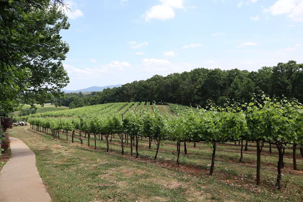 Italian Bistro Dining