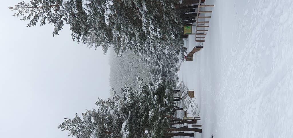 Scenic Trekking Routes