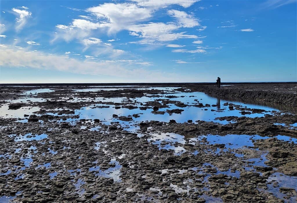 Traditional Fishing Techniques
