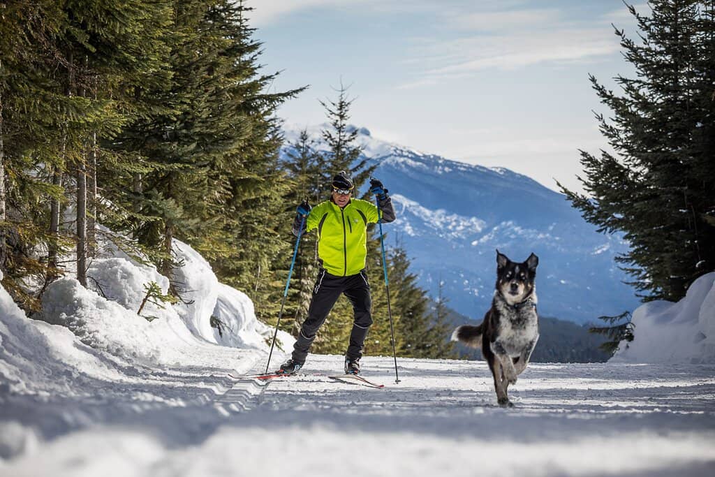 Nordic Skiing & Biathlon