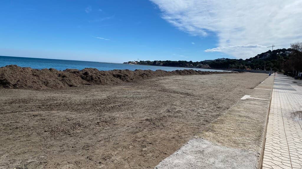 Beach Bars & Ambiance