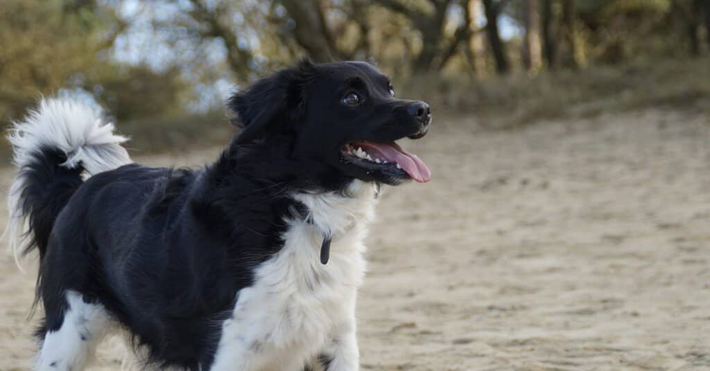 Bike & Dune Exploration