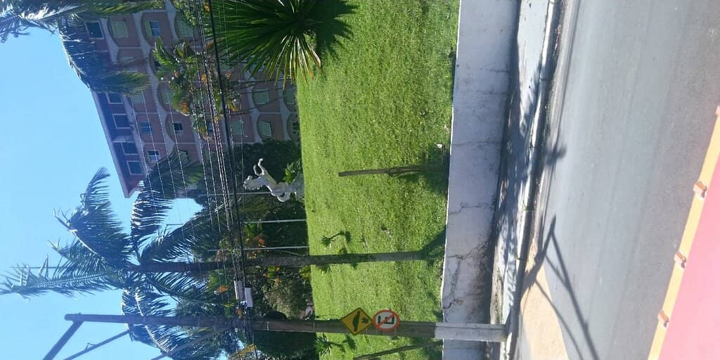 Lush Green Surroundings