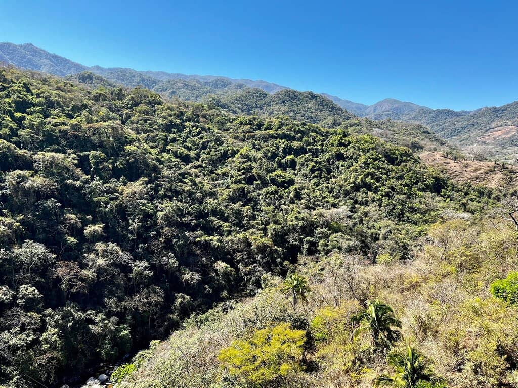 ATV/RZR Trail Ride