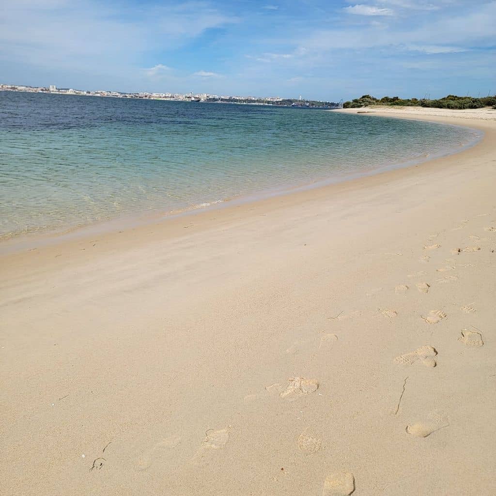 Expansive White Sands