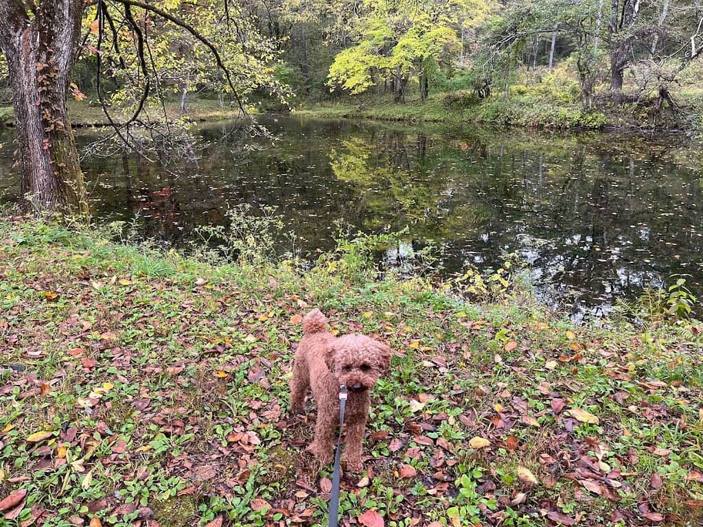 Contemporary Art Collection