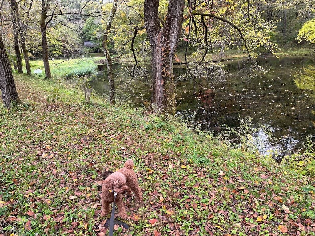 Kiyonori Kikutake Architecture