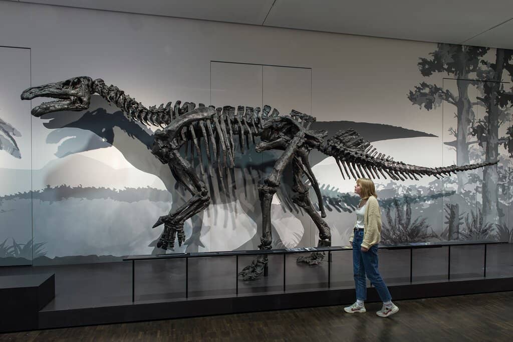 Der Blaue Kontinent: Inseln im Pazifik