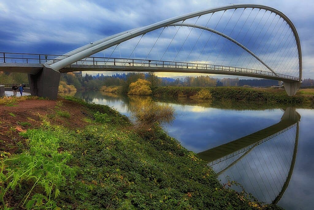 This bridge is so cool I like going that bridge