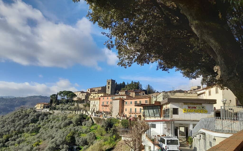 Panoramic Tuscan Views