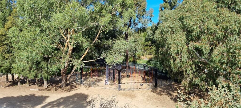 LIT Festival Light Show