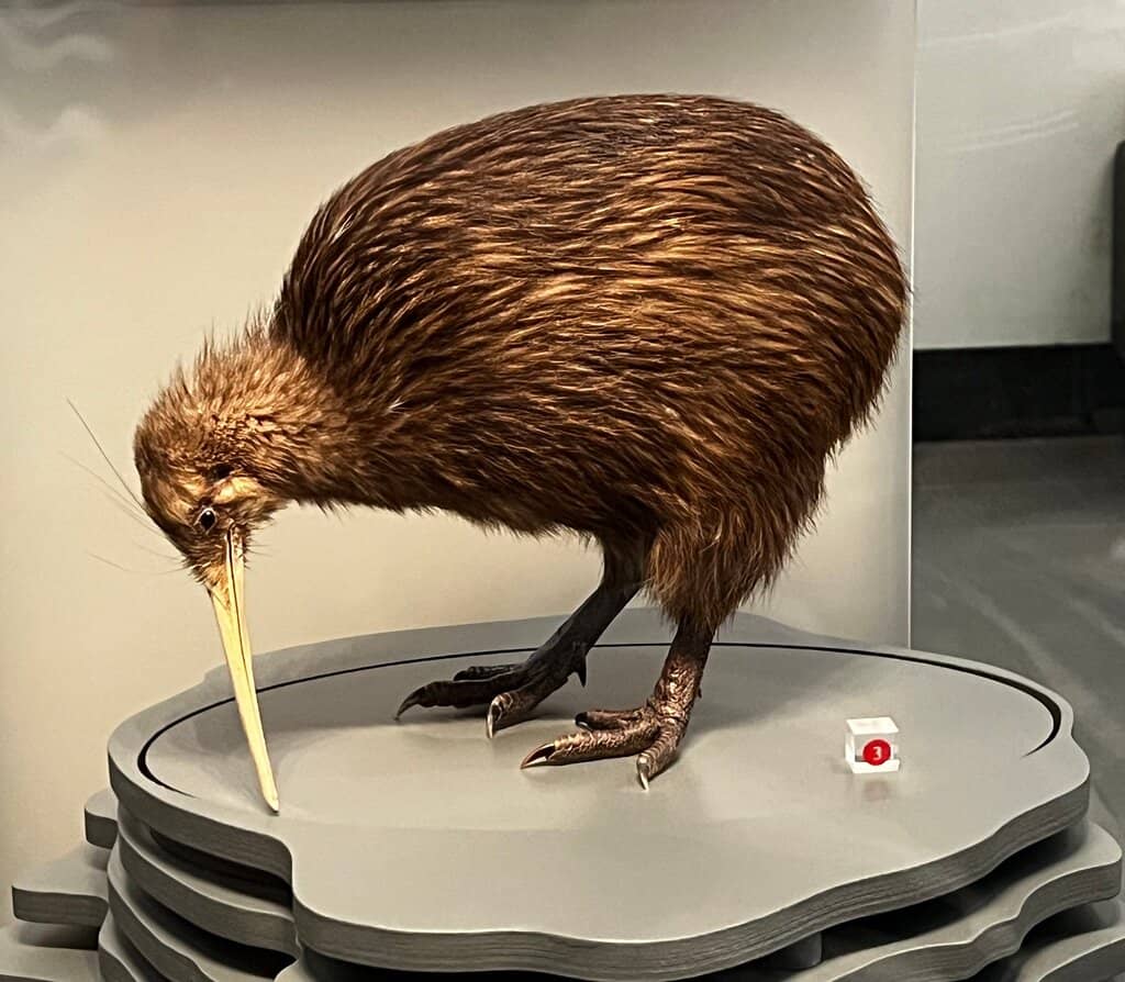 Beautiful Gardens & Play Area