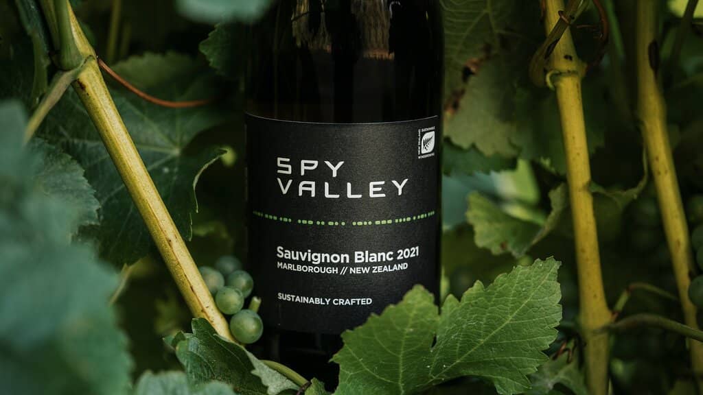 Scenic Vineyard Views