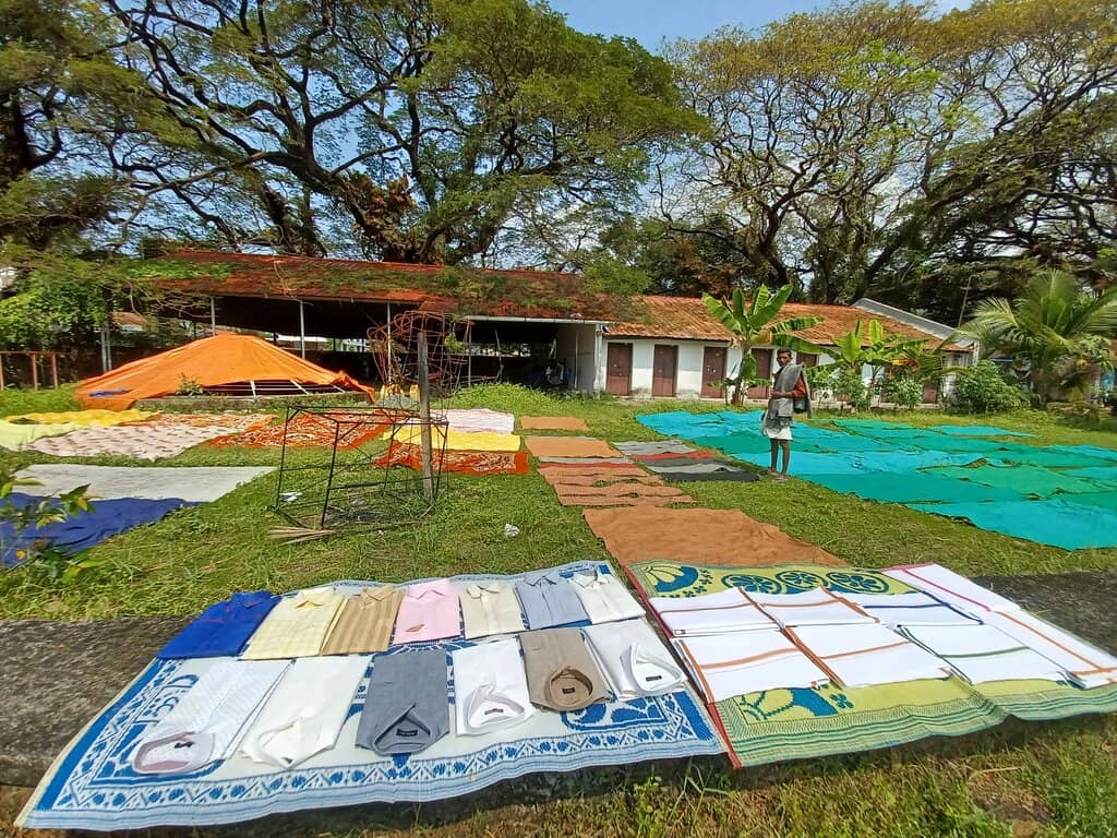 Generations of Skill