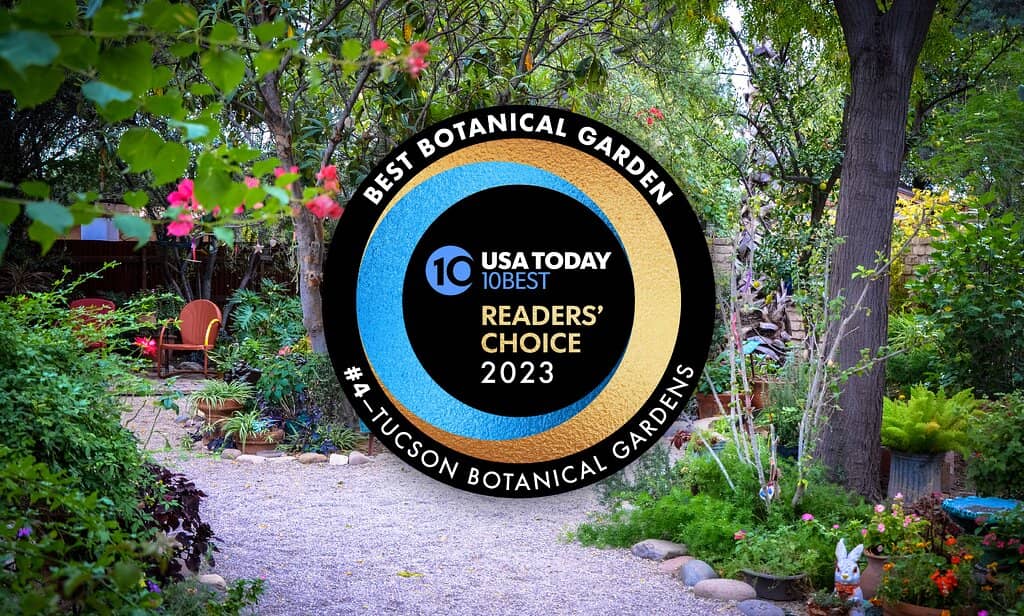 Butterfly Magic Exhibit