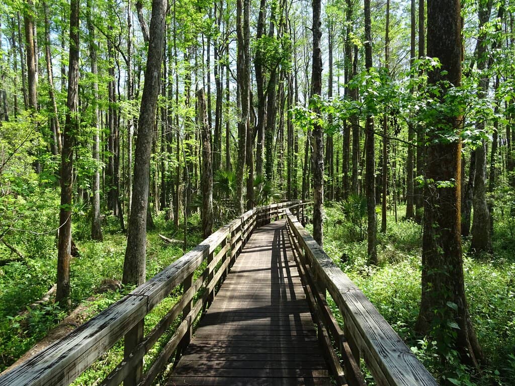 Shell Mound Archaeological Site