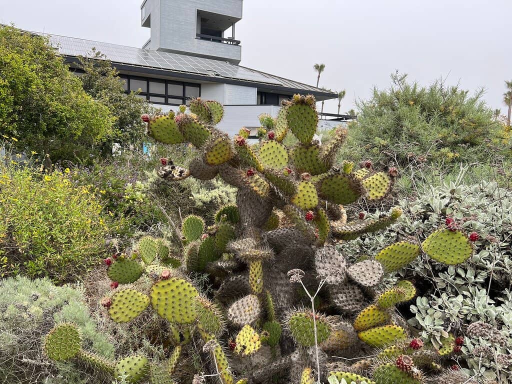 Informative Short Film