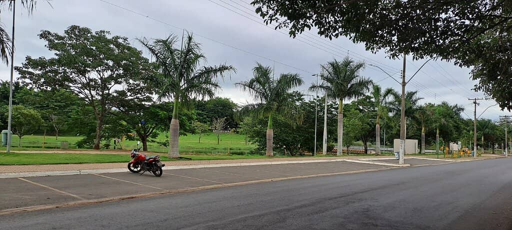 Amigos do Flash Back Gatherings