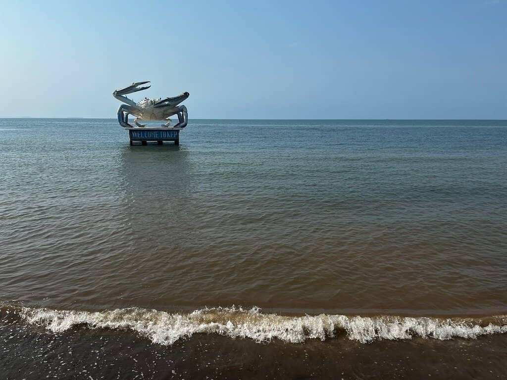 Seafood Stalls