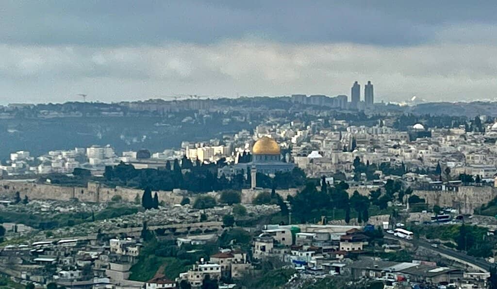 Diverse Israeli Flora