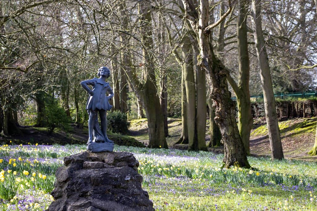 The Enchanting Rose Garden