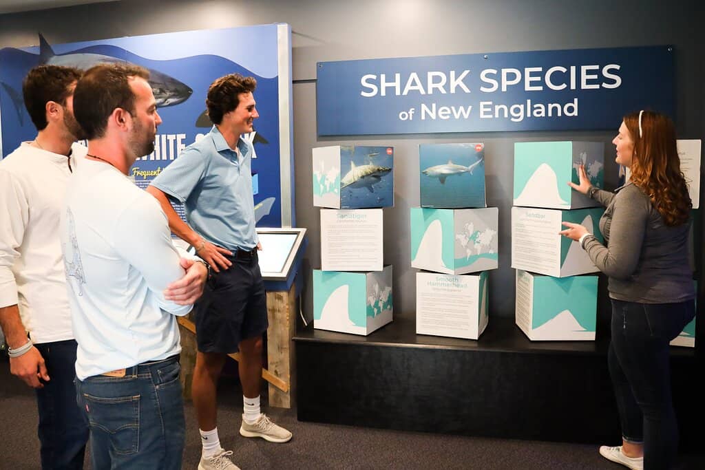 Sharktivity App