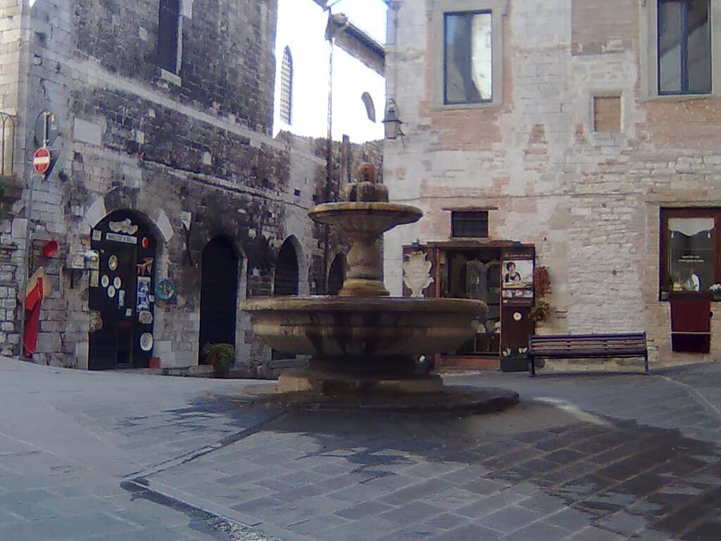 Vertical photo