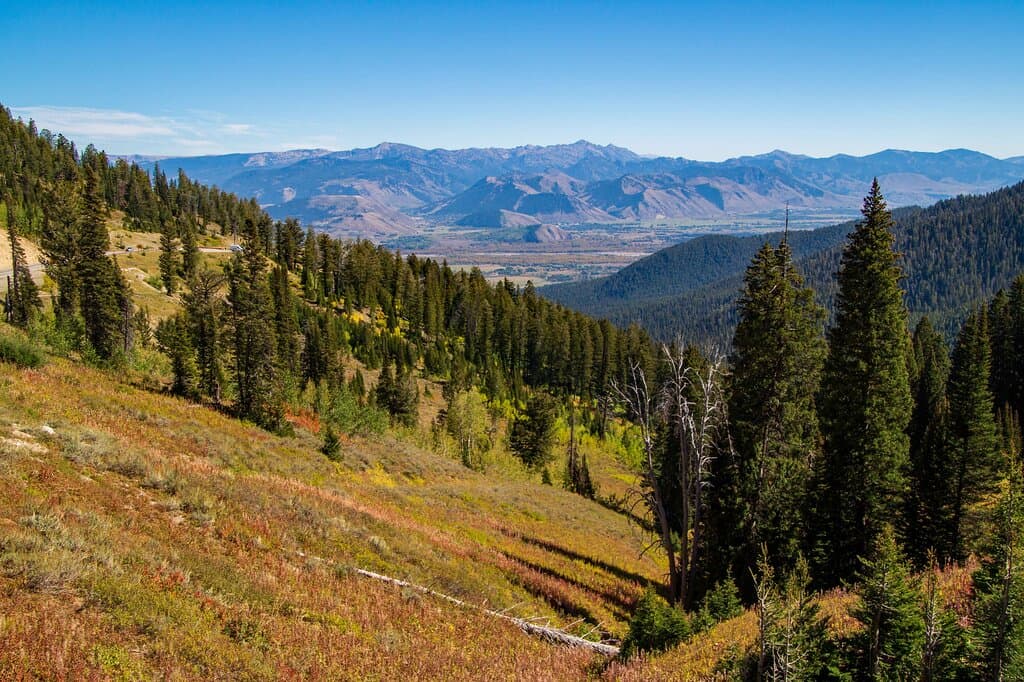 Teton Pass - åbningsscenen fra Shane