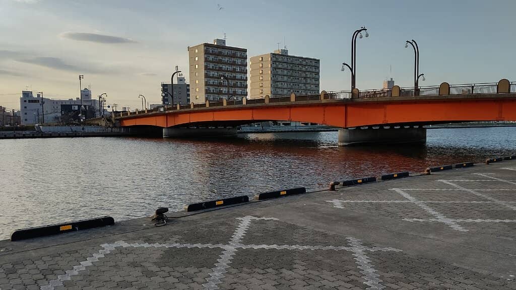 Wildlife Canoe Tours