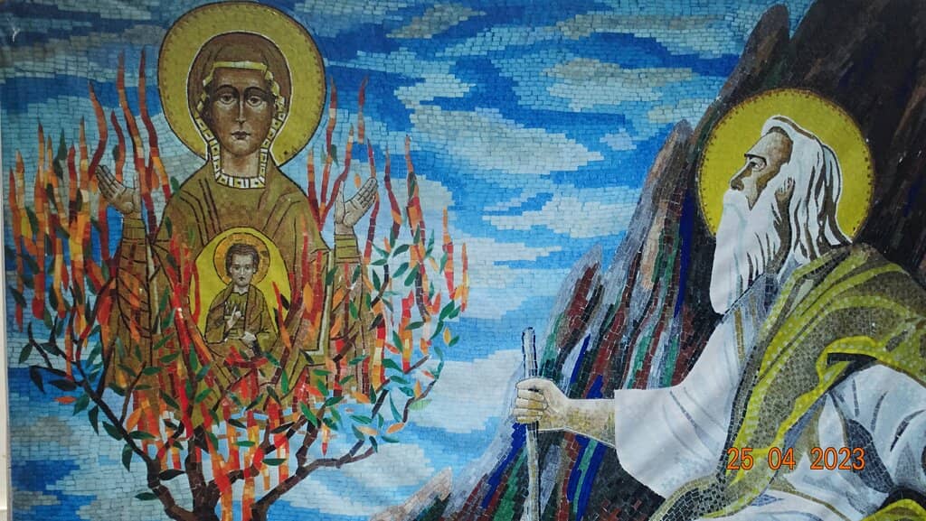 Stunning Mosaics