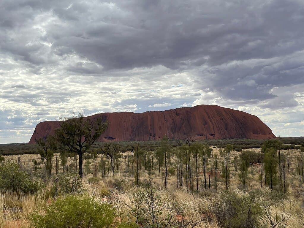 Talinguru Nyakunytjaku