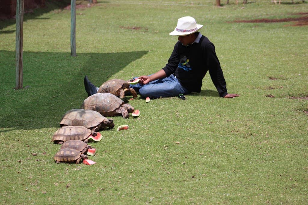 Encounter Native Wildlife